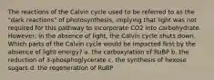 The reactions of the Calvin cycle used to be referred to as the "dark reactions" of photosynthesis, implying that light was not required for this pathway to incorporate CO2 into carbohydrate. However, in the absence of light, the Calvin cycle shuts down. Which parts of the Calvin cycle would be impacted first by the absence of light energy? a. the carboxylation of RuBP b. the reduction of 3-phosphoglycerate c. the synthesis of hexose sugars d. the regeneration of RuBP