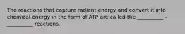 The reactions that capture radiant energy and convert it into chemical energy in the form of ATP are called the __________ - __________ reactions.