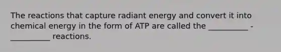 The reactions that capture radiant energy and convert it into chemical energy in the form of ATP are called the __________ - __________ reactions.