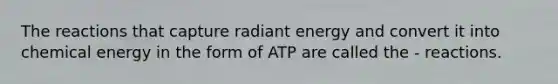 The reactions that capture radiant energy and convert it into chemical energy in the form of ATP are called the - reactions.