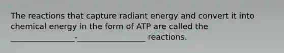 The reactions that capture radiant energy and convert it into chemical energy in the form of ATP are called the ________________-_________________ reactions.