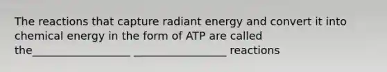 The reactions that capture radiant energy and convert it into chemical energy in the form of ATP are called the__________________ _________________ reactions