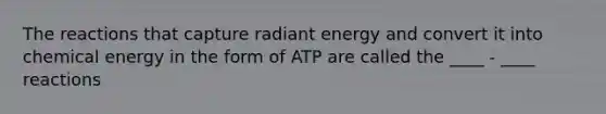 The reactions that capture radiant energy and convert it into chemical energy in the form of ATP are called the ____ - ____ reactions