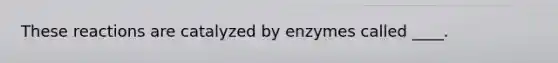 These reactions are catalyzed by enzymes called ____.