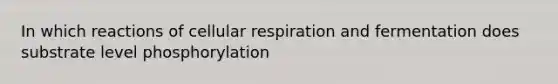 In which reactions of cellular respiration and fermentation does substrate level phosphorylation