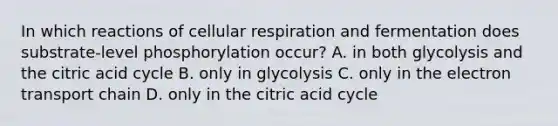 In which reactions of cellular respiration and fermentation does substrate-level phosphorylation occur? A. in both glycolysis and the citric acid cycle B. only in glycolysis C. only in the electron transport chain D. only in the citric acid cycle