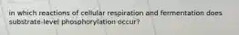 in which reactions of cellular respiration and fermentation does substrate-level phosphorylation occur?