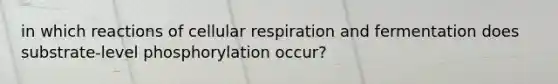 in which reactions of cellular respiration and fermentation does substrate-level phosphorylation occur?