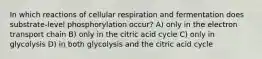 In which reactions of cellular respiration and fermentation does substrate-level phosphorylation occur? A) only in the electron transport chain B) only in the citric acid cycle C) only in glycolysis D) in both glycolysis and the citric acid cycle