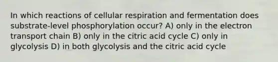 In which reactions of <a href='https://www.questionai.com/knowledge/k1IqNYBAJw-cellular-respiration' class='anchor-knowledge'>cellular respiration</a> and fermentation does substrate-level phosphorylation occur? A) only in <a href='https://www.questionai.com/knowledge/k57oGBr0HP-the-electron-transport-chain' class='anchor-knowledge'>the electron transport chain</a> B) only in the citric acid cycle C) only in glycolysis D) in both glycolysis and the citric acid cycle