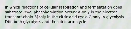 In which reactions of cellular respiration and fermentation does substrate-level phosphorylation occur? A)only in the electron transport chain B)only in the citric acid cycle C)only in glycolysis D)in both glycolysis and the citric acid cycle