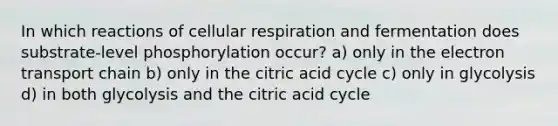 In which reactions of <a href='https://www.questionai.com/knowledge/k1IqNYBAJw-cellular-respiration' class='anchor-knowledge'>cellular respiration</a> and fermentation does substrate-level phosphorylation occur? a) only in <a href='https://www.questionai.com/knowledge/k57oGBr0HP-the-electron-transport-chain' class='anchor-knowledge'>the electron transport chain</a> b) only in the citric acid cycle c) only in glycolysis d) in both glycolysis and the citric acid cycle