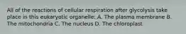 All of the reactions of cellular respiration after glycolysis take place in this eukaryotic organelle: A. The plasma membrane B. The mitochondria C. The nucleus D. The chloroplast