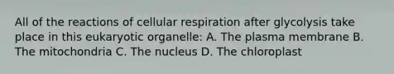 All of the reactions of cellular respiration after glycolysis take place in this eukaryotic organelle: A. The plasma membrane B. The mitochondria C. The nucleus D. The chloroplast