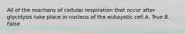 All of the reactions of cellular respiration that occur after glycolysis take place in nucleus of the eukayotic cell A. True B. False