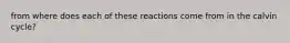 from where does each of these reactions come from in the calvin cycle?