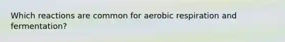 Which reactions are common for aerobic respiration and fermentation?