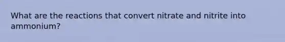 What are the reactions that convert nitrate and nitrite into ammonium?