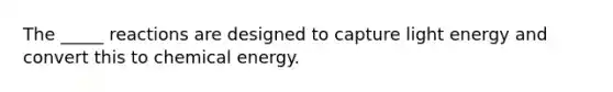 The _____ reactions are designed to capture light energy and convert this to chemical energy.