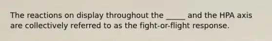 The reactions on display throughout the _____ and the HPA axis are collectively referred to as the fight-or-flight response.