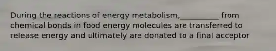 During the reactions of energy metabolism,__________ from chemical bonds in food energy molecules are transferred to release energy and ultimately are donated to a final acceptor