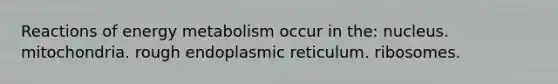 Reactions of energy metabolism occur in the: nucleus. mitochondria. rough endoplasmic reticulum. ribosomes.