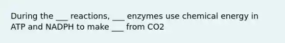 During the ___ reactions, ___ enzymes use chemical energy in ATP and NADPH to make ___ from CO2