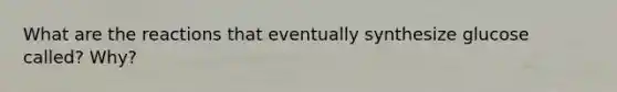 What are the reactions that eventually synthesize glucose called? Why?