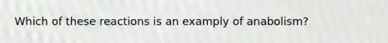 Which of these reactions is an examply of anabolism?