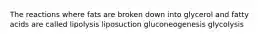 The reactions where fats are broken down into glycerol and fatty acids are called lipolysis liposuction gluconeogenesis glycolysis