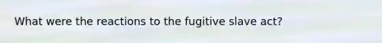 What were the reactions to the fugitive slave act?