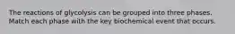 The reactions of glycolysis can be grouped into three phases. Match each phase with the key biochemical event that occurs.