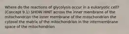 Where do the reactions of glycolysis occur in a eukaryotic cell? (Concept 9.1) SHOW HINT across the inner membrane of the mitochondrion the inner membrane of the mitochondrion the cytosol the matrix of the mitochondrion in the intermembrane space of the mitochondrion