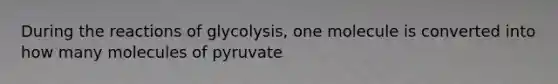 During the reactions of glycolysis, one molecule is converted into how many molecules of pyruvate