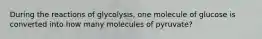 During the reactions of glycolysis, one molecule of glucose is converted into how many molecules of pyruvate?