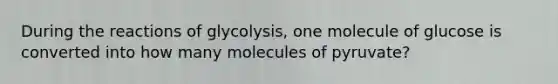 During the reactions of glycolysis, one molecule of glucose is converted into how many molecules of pyruvate?