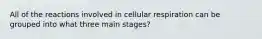 All of the reactions involved in cellular respiration can be grouped into what three main stages?