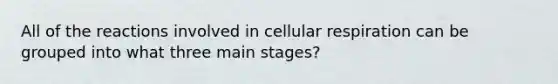 All of the reactions involved in cellular respiration can be grouped into what three main stages?