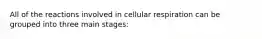 All of the reactions involved in cellular respiration can be grouped into three main stages: