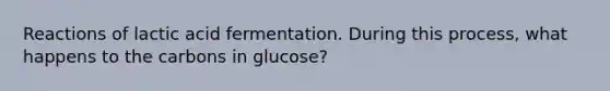 Reactions of lactic acid fermentation. During this process, what happens to the carbons in glucose?