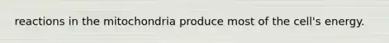 reactions in the mitochondria produce most of the cell's energy.