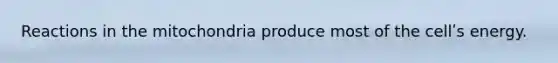 Reactions in the mitochondria produce most of the cellʹs energy.