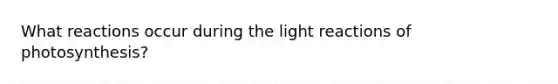 What reactions occur during the light reactions of photosynthesis?