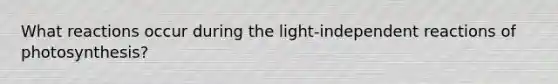 What reactions occur during the light-independent reactions of photosynthesis?