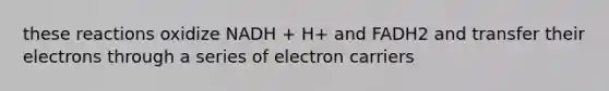 these reactions oxidize NADH + H+ and FADH2 and transfer their electrons through a series of electron carriers