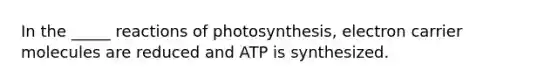 In the _____ reactions of photosynthesis, electron carrier molecules are reduced and ATP is synthesized.