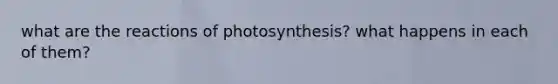 what are the reactions of photosynthesis? what happens in each of them?