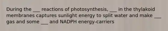 During the ___ reactions of photosynthesis, ___ in the thylakoid membranes captures sunlight energy to split water and make ___ gas and some ___ and NADPH energy-carriers