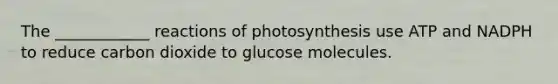 The ____________ reactions of photosynthesis use ATP and NADPH to reduce carbon dioxide to glucose molecules.