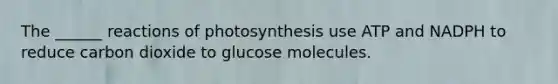 The ______ reactions of photosynthesis use ATP and NADPH to reduce carbon dioxide to glucose molecules.